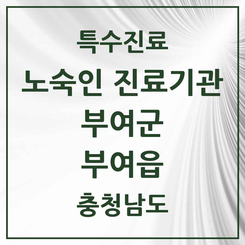 2025 충청남도 부여군 부여읍 노숙인 진료기관 의원·병원 목록 1곳