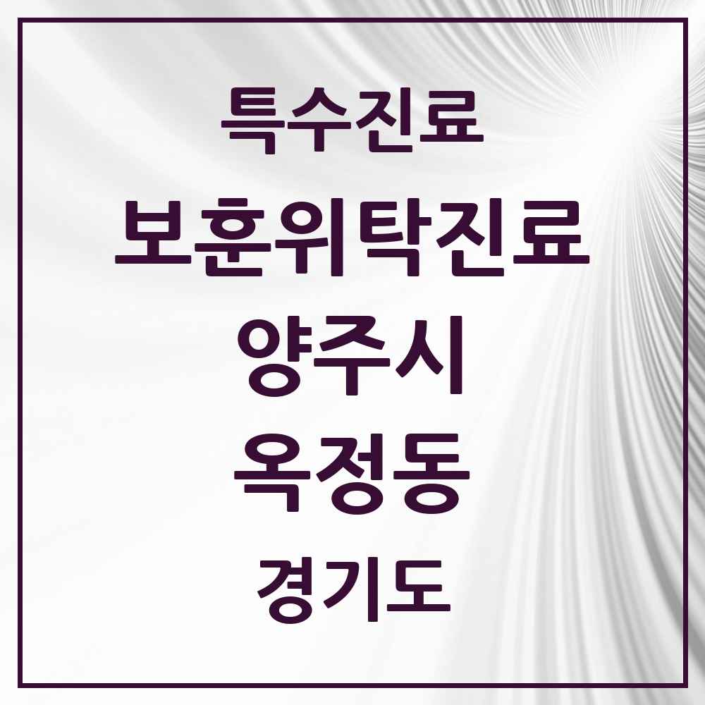 2025 경기도 양주시 옥정동 보훈위탁진료 요양기관 의원·병원 목록 1곳