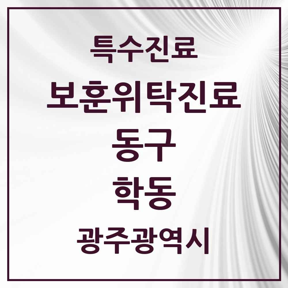 2025 광주광역시 동구 학동 보훈위탁진료 요양기관 의원·병원 목록 2곳