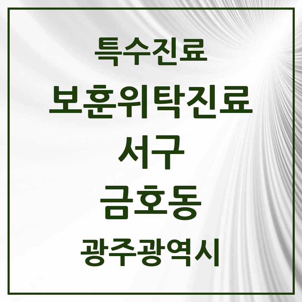 2025 광주광역시 서구 금호동 보훈위탁진료 요양기관 의원·병원 목록 1곳