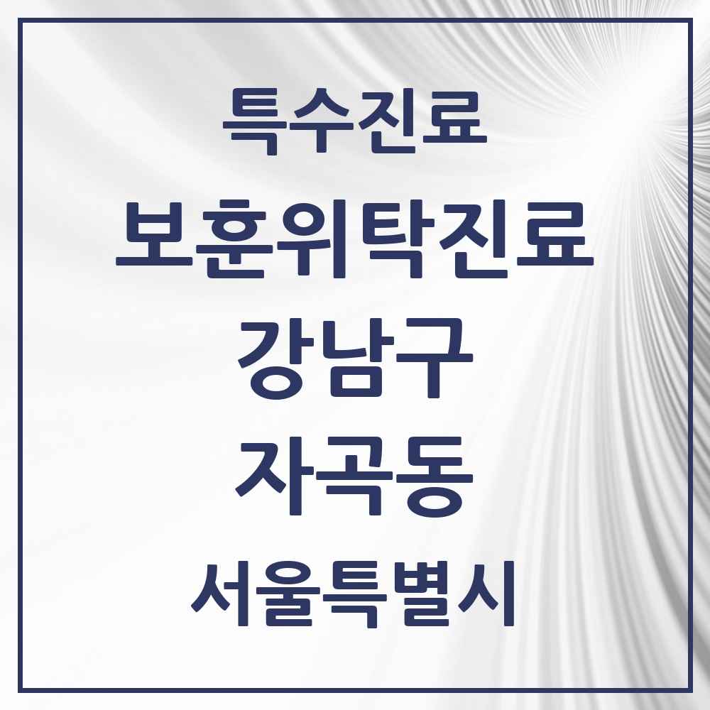 2025 서울특별시 강남구 자곡동 보훈위탁진료 요양기관 의원·병원 목록 1곳