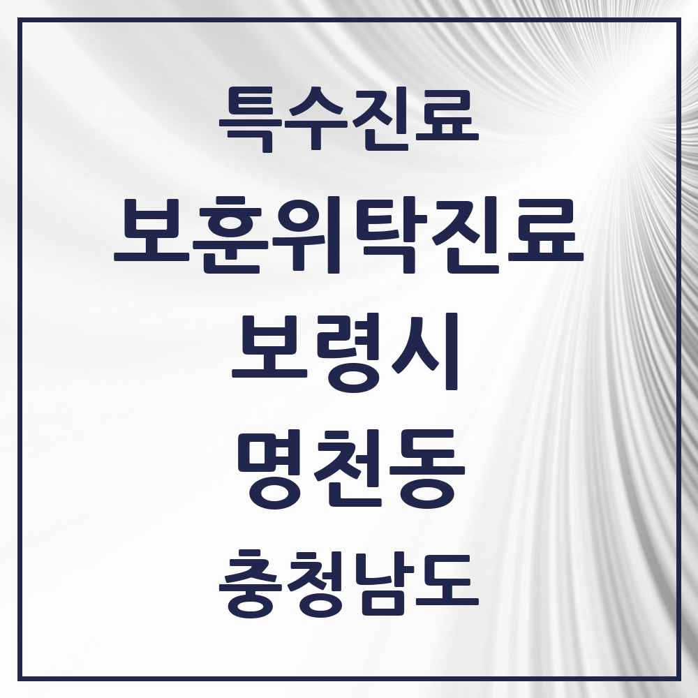 2025 충청남도 보령시 명천동 보훈위탁진료 요양기관 의원·병원 목록 1곳