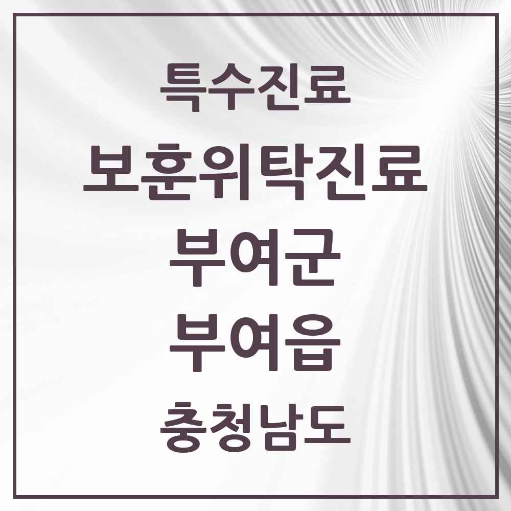 2025 충청남도 부여군 부여읍 보훈위탁진료 요양기관 의원·병원 목록 3곳