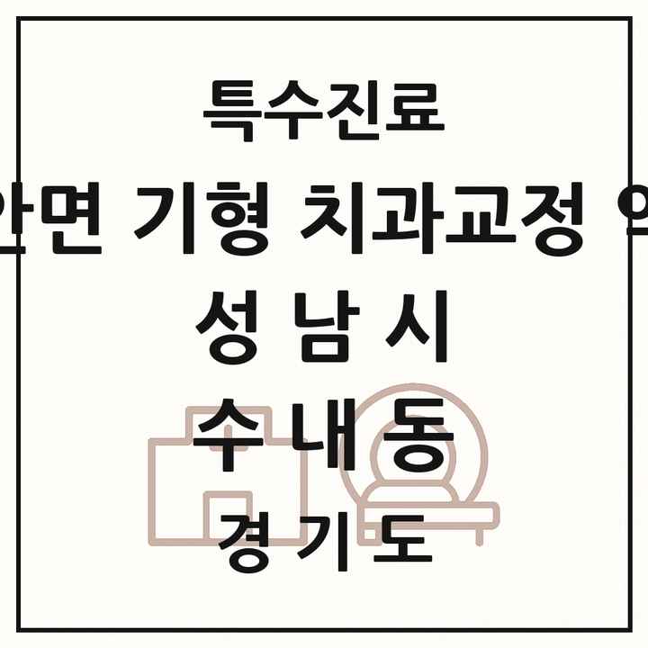 2026 경기도 성남시 수내동 선천성 악안면 기형 치과교정 악정형 기관 의원·병원 목록 1곳