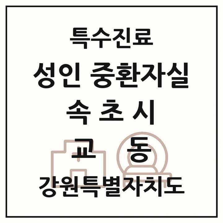 2026 강원특별자치도 속초시 교동 성인 중환자실 의원·병원 목록 1곳