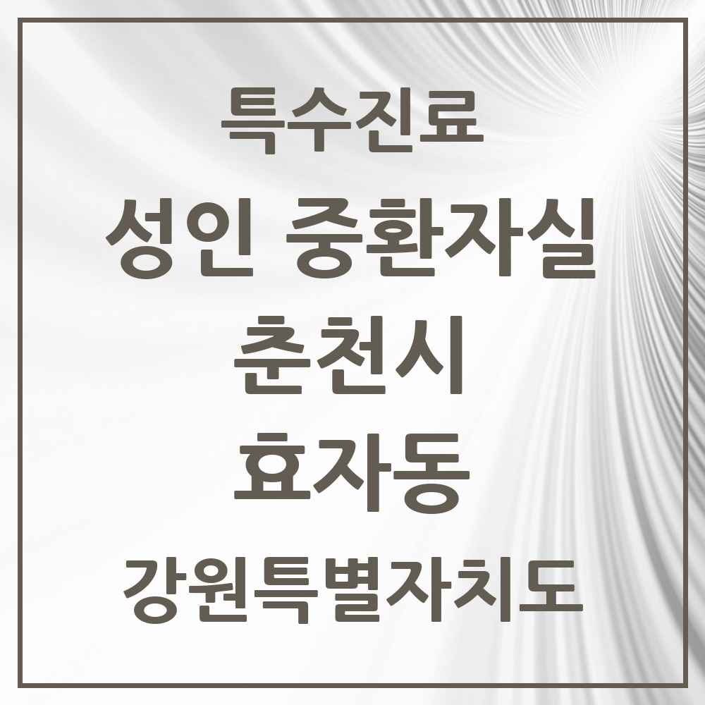 2025 강원특별자치도 춘천시 효자동 성인 중환자실 의원·병원 목록 1곳