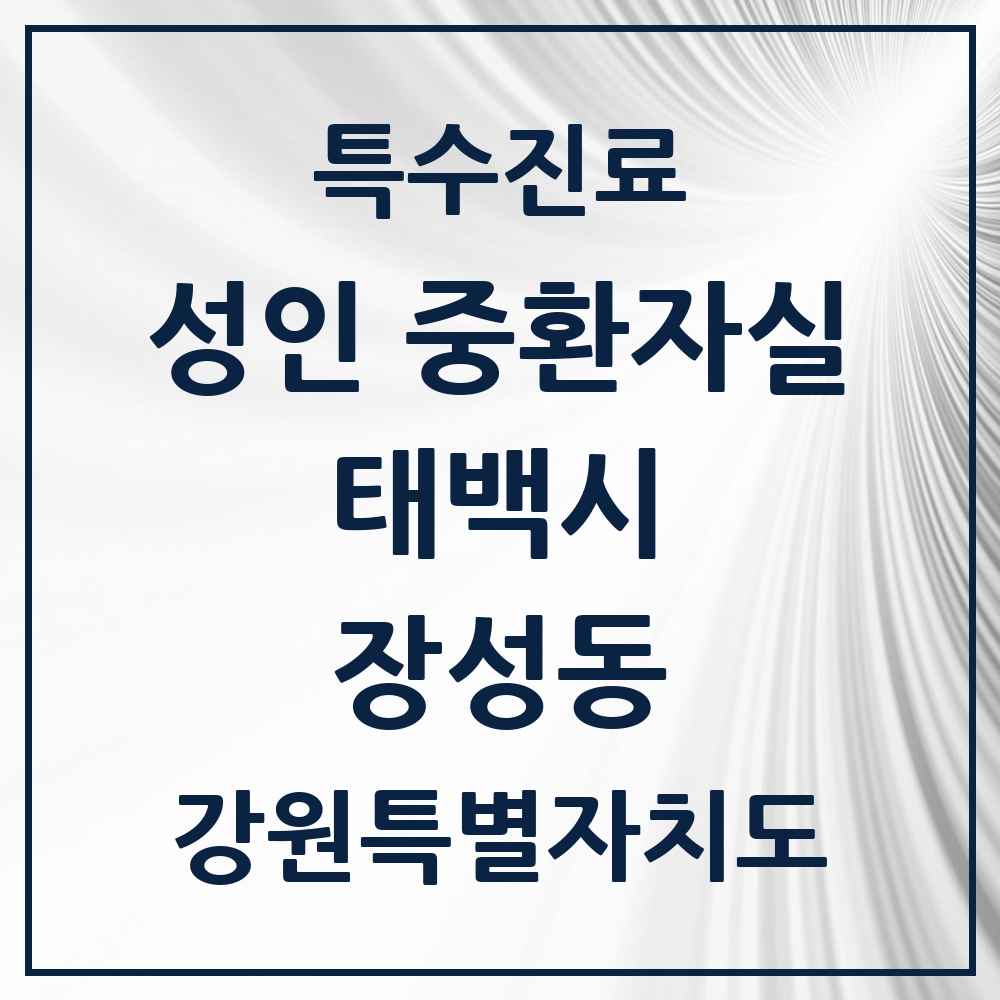 2025 강원특별자치도 태백시 장성동 성인 중환자실 의원·병원 목록 1곳