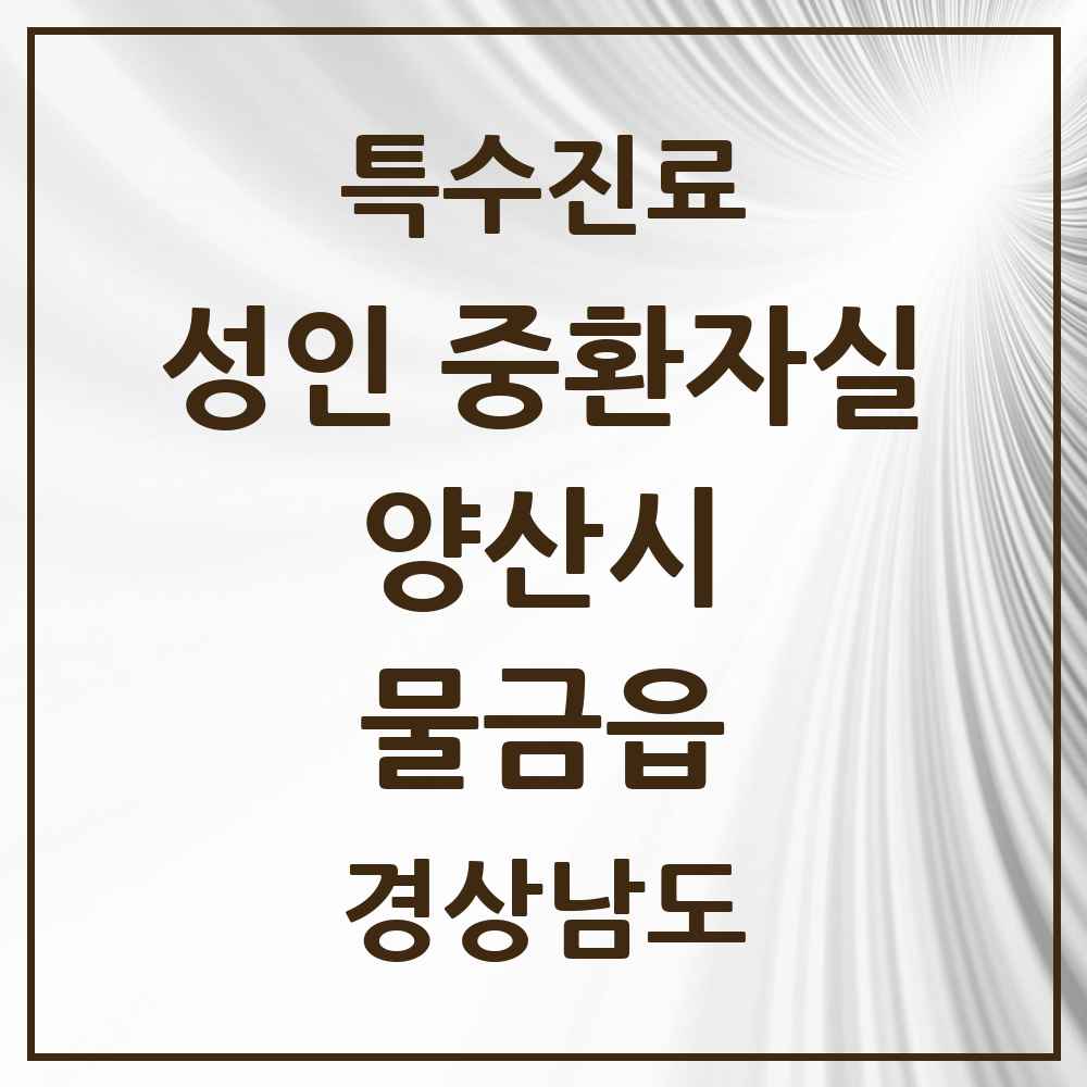 2025 경상남도 양산시 물금읍 성인 중환자실 의원·병원 목록 1곳