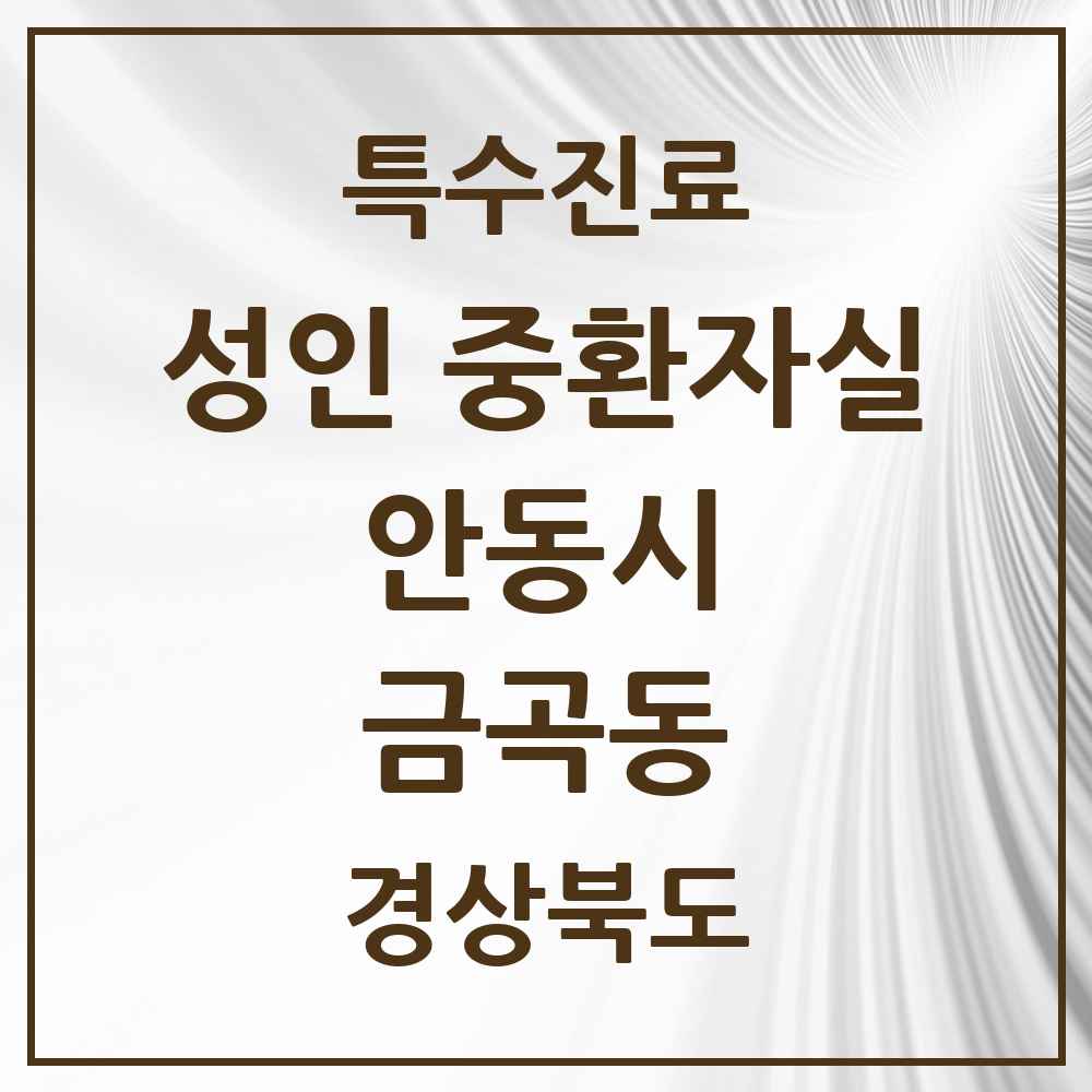 2025 경상북도 안동시 금곡동 성인 중환자실 의원·병원 목록 1곳