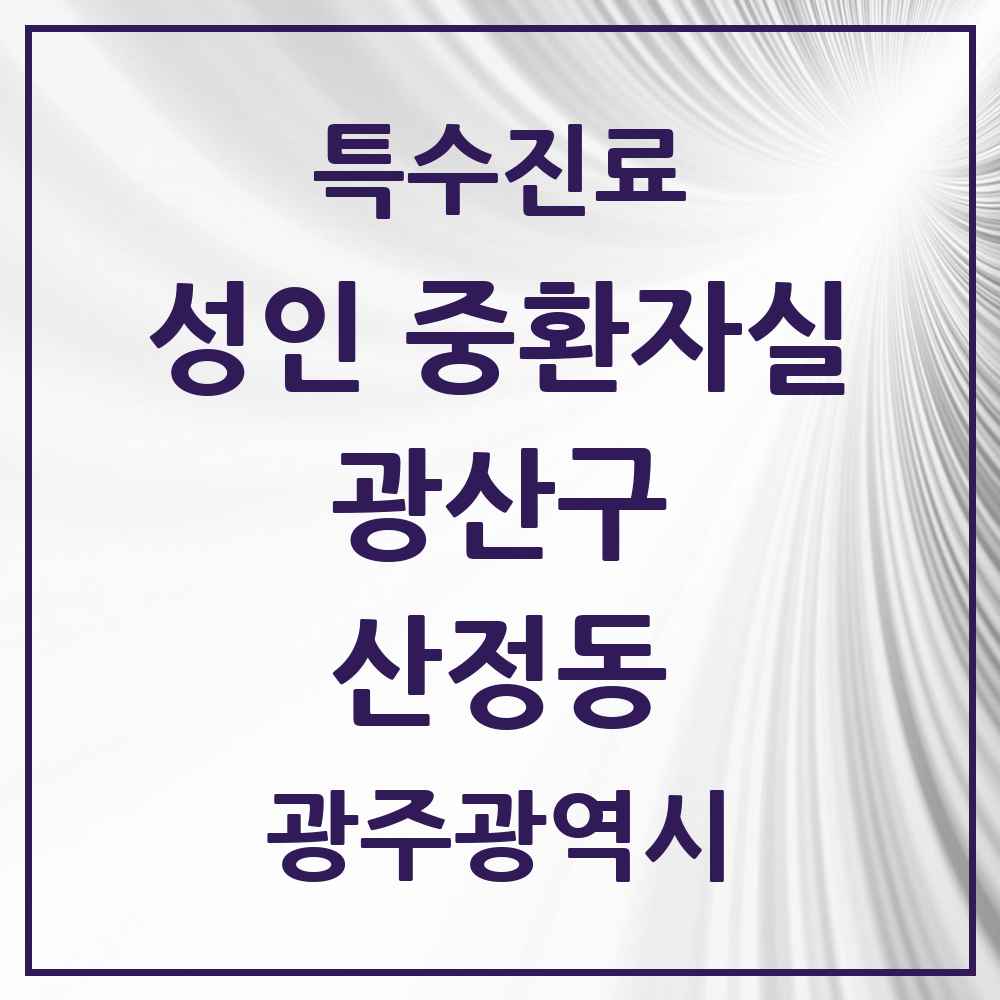 2025 광주광역시 광산구 산정동 성인 중환자실 의원·병원 목록 1곳