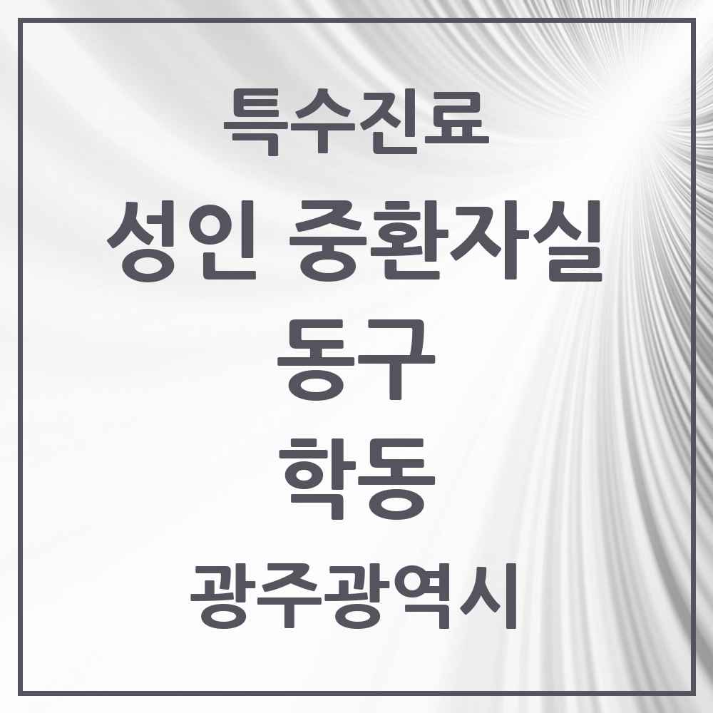 2025 광주광역시 동구 학동 성인 중환자실 의원·병원 목록 2곳