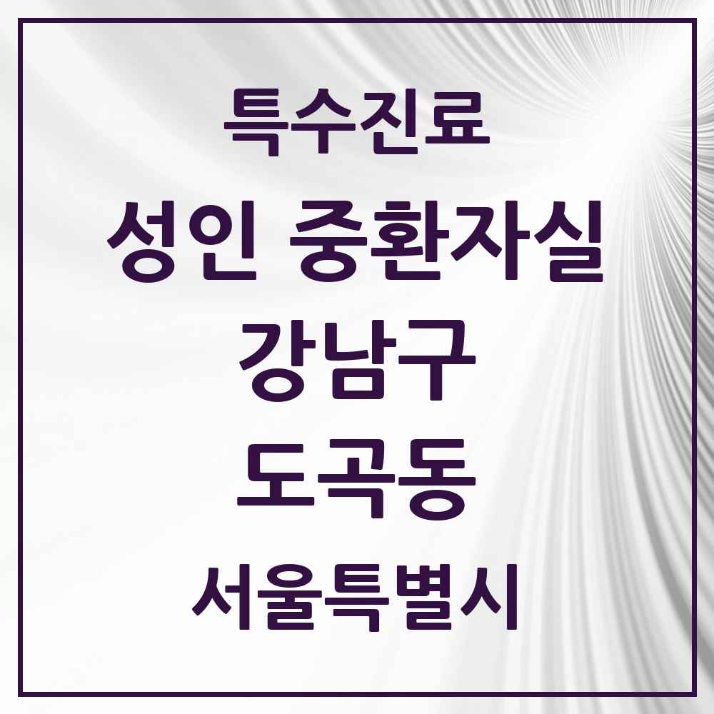 2025 서울특별시 강남구 도곡동 성인 중환자실 의원·병원 목록 1곳