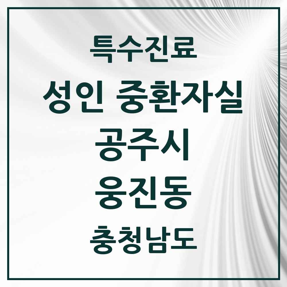 2025 충청남도 공주시 웅진동 성인 중환자실 의원·병원 목록 1곳