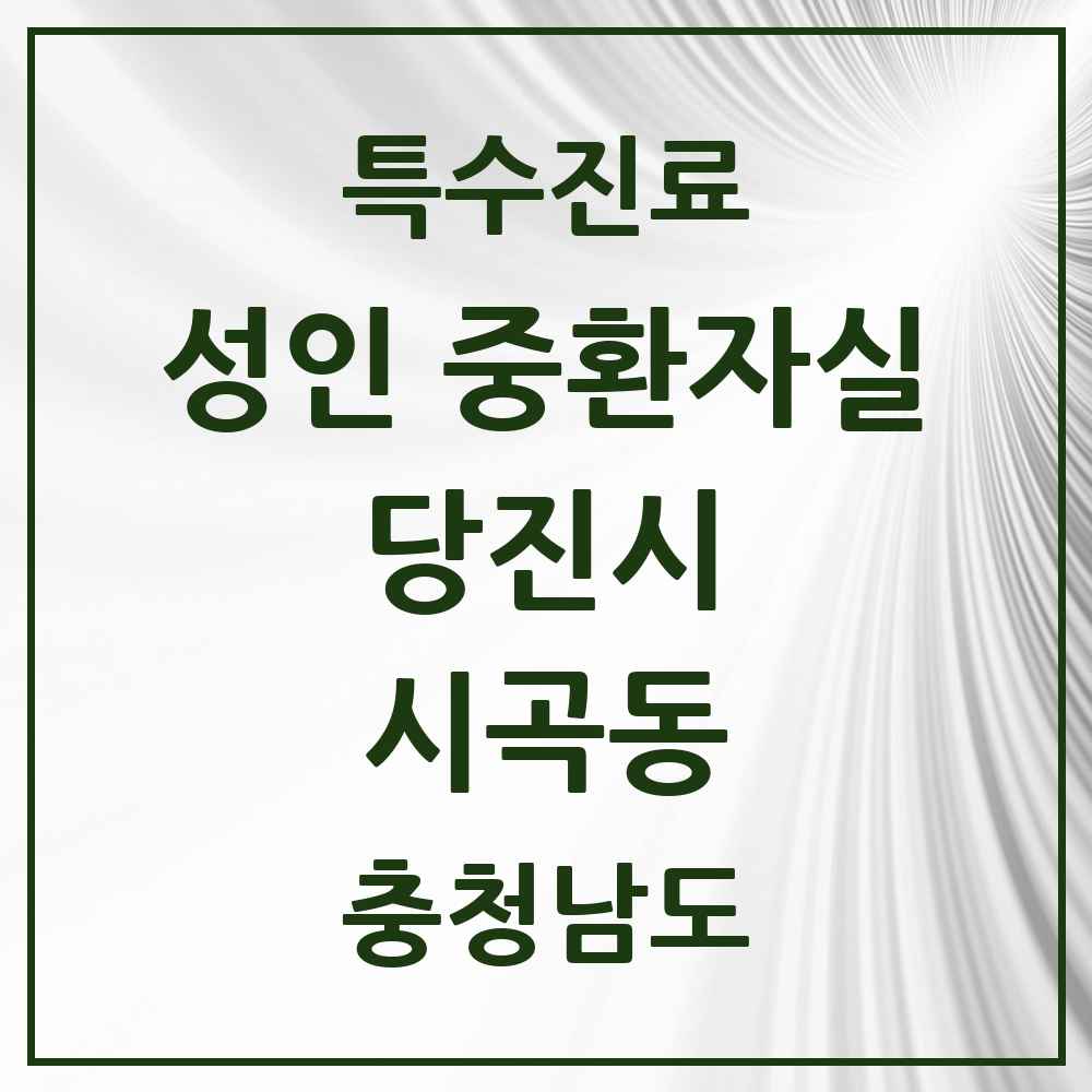 2025 충청남도 당진시 시곡동 성인 중환자실 의원·병원 목록 1곳