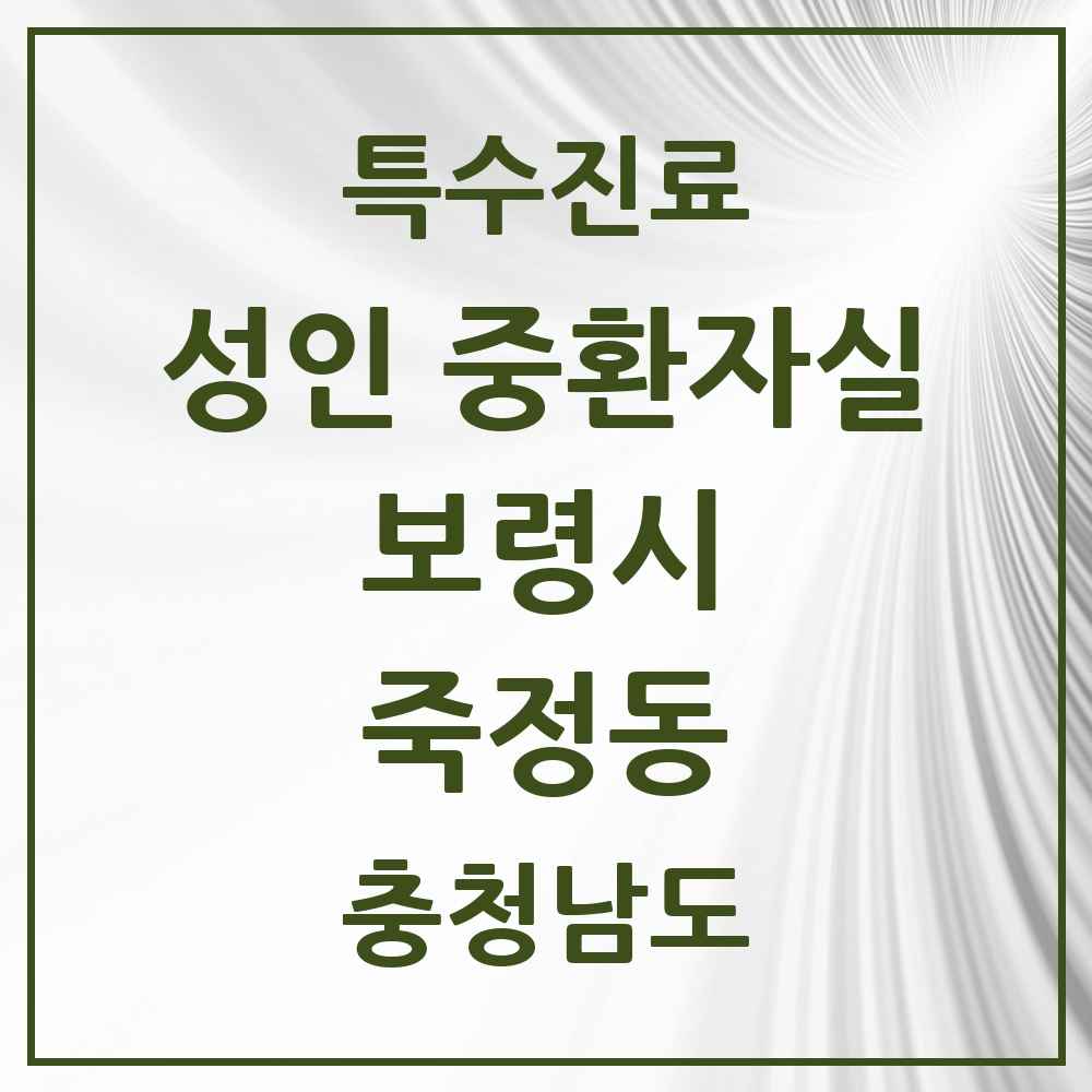 2025 충청남도 보령시 죽정동 성인 중환자실 의원·병원 목록 1곳