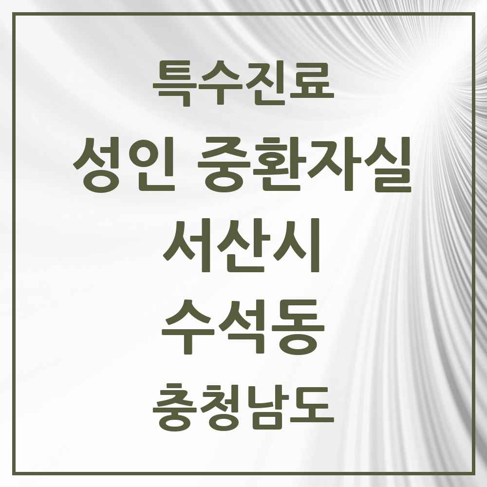 2025 충청남도 서산시 수석동 성인 중환자실 의원·병원 목록 1곳