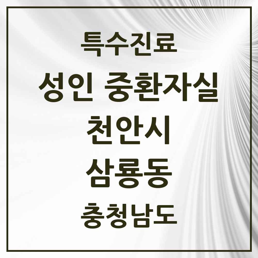 2025 충청남도 천안시 삼룡동 성인 중환자실 의원·병원 목록 1곳