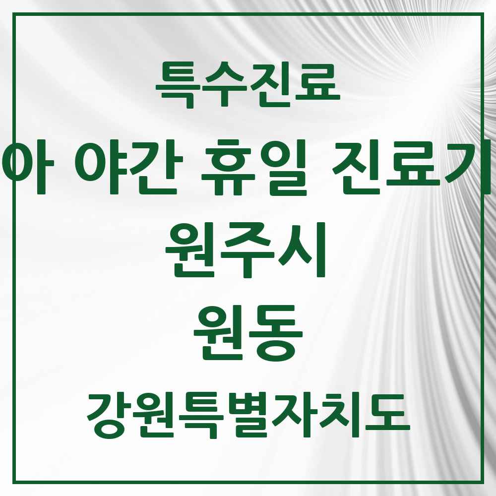 2025 강원특별자치도 원주시 원동 소아 야간 휴일 진료기관 의원·병원 목록 1곳