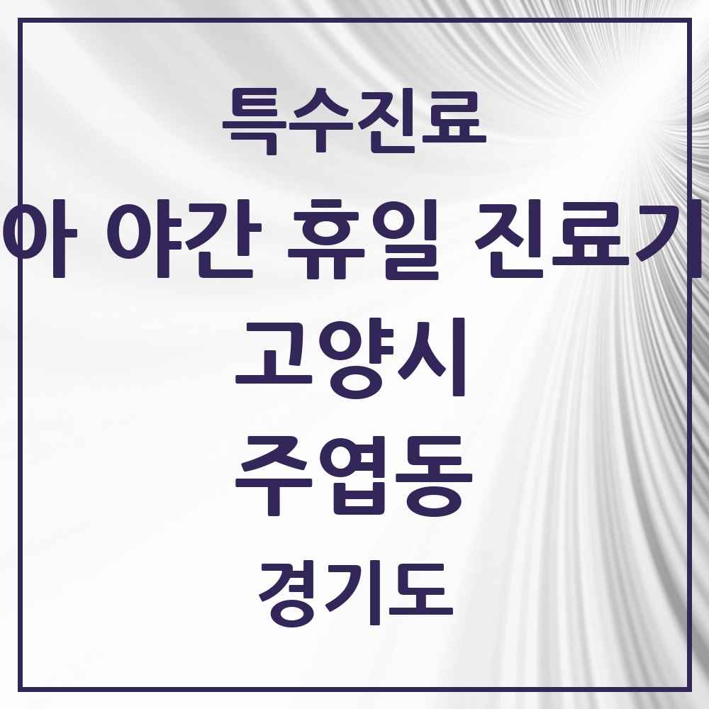 2025 경기도 고양시 주엽동 소아 야간 휴일 진료기관 의원·병원 목록 2곳