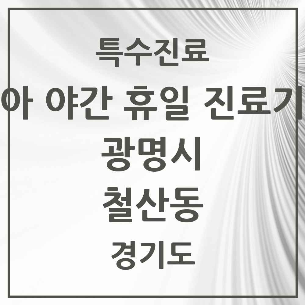 2025 경기도 광명시 철산동 소아 야간 휴일 진료기관 의원·병원 목록 2곳