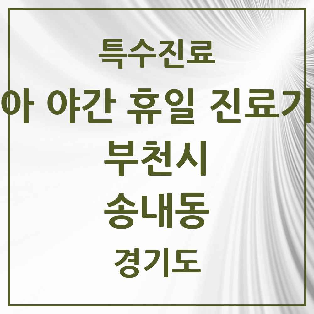 2025 경기도 부천시 송내동 소아 야간 휴일 진료기관 의원·병원 목록 2곳