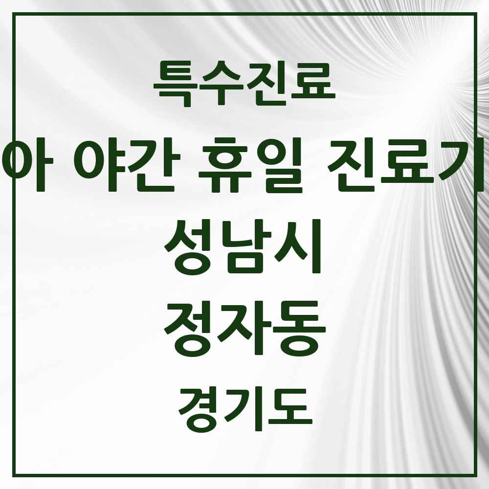2025 경기도 성남시 정자동 소아 야간 휴일 진료기관 의원·병원 목록 2곳