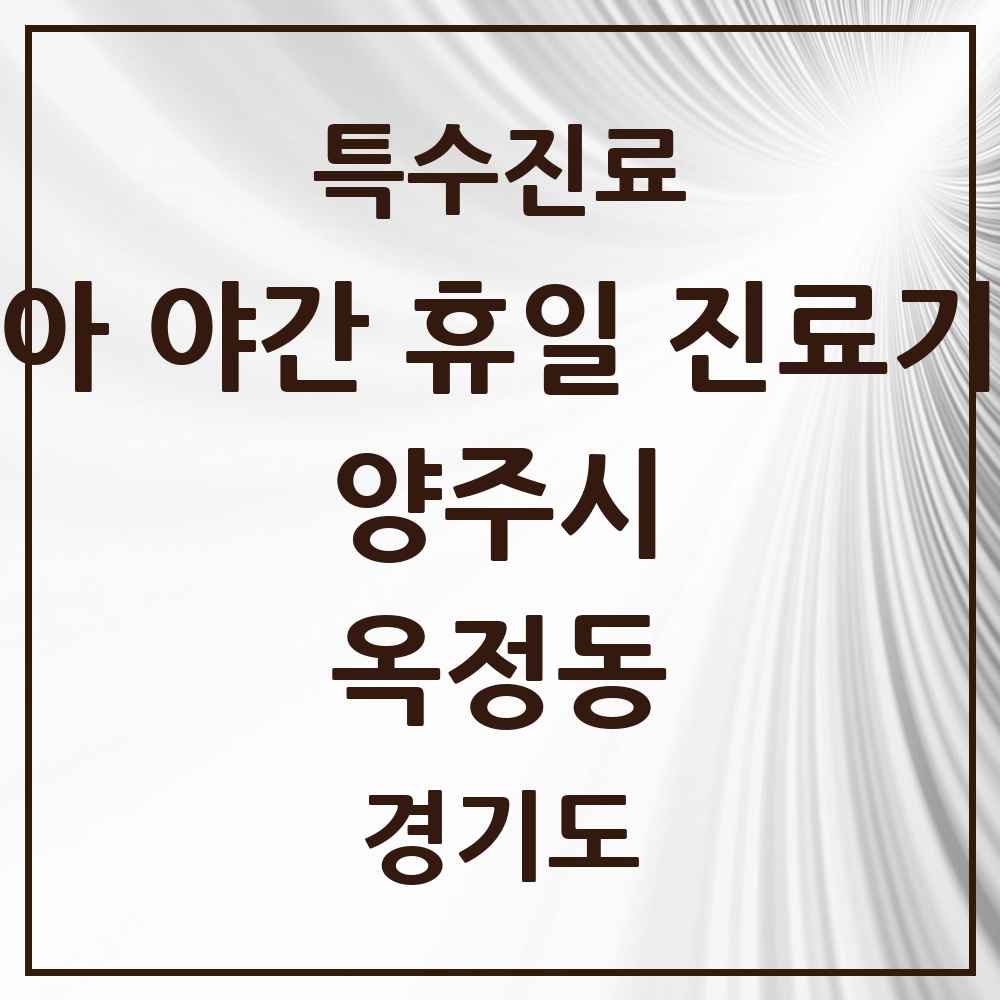 2025 경기도 양주시 옥정동 소아 야간 휴일 진료기관 의원·병원 목록 2곳