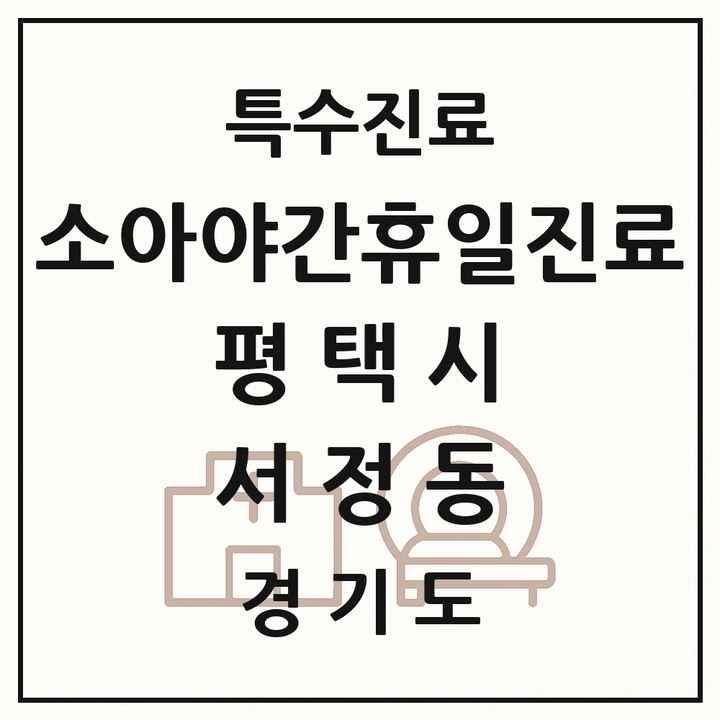 2026 경기도 평택시 서정동 소아 야간 휴일 진료기관 의원·병원 목록 2곳