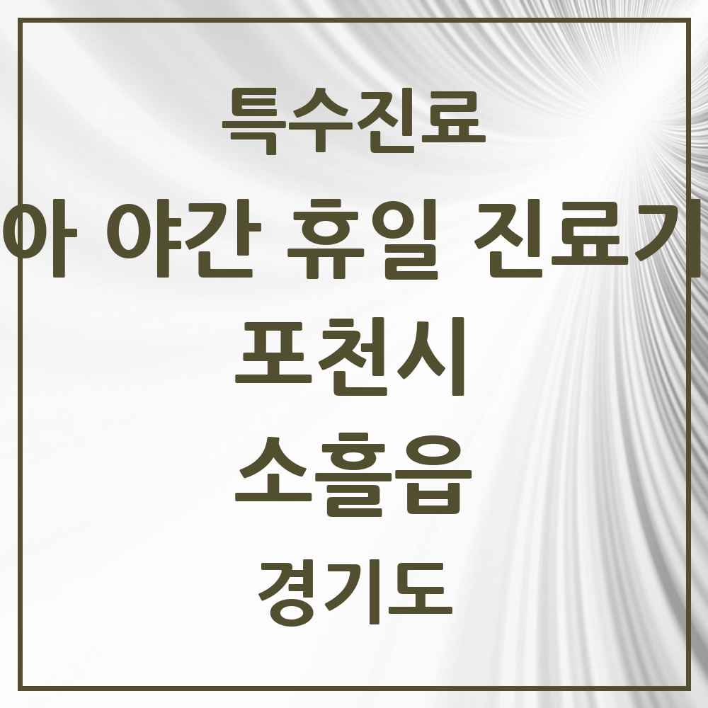 2025 경기도 포천시 소흘읍 소아 야간 휴일 진료기관 의원·병원 목록 4곳