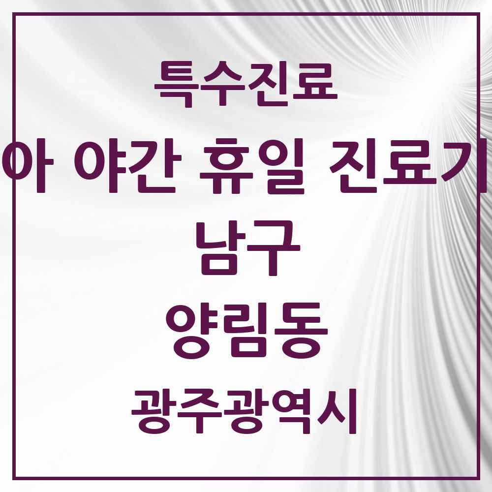2025 광주광역시 남구 양림동 소아 야간 휴일 진료기관 의원·병원 목록 2곳