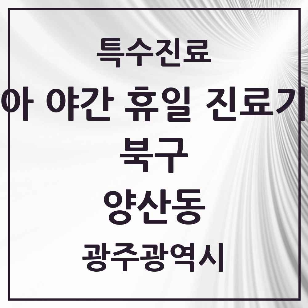 2025 광주광역시 북구 양산동 소아 야간 휴일 진료기관 의원·병원 목록 2곳