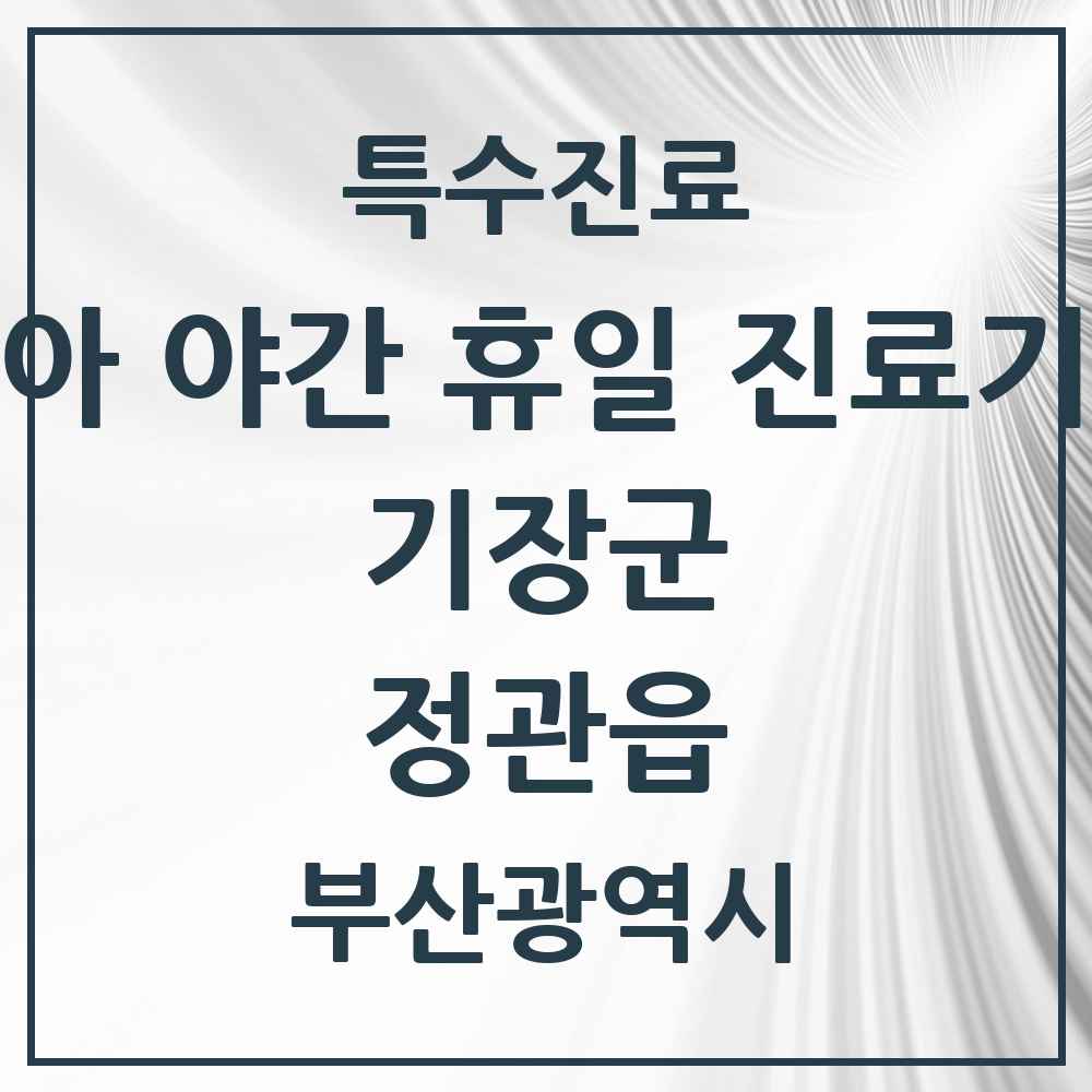 2025 부산광역시 기장군 정관읍 소아 야간 휴일 진료기관 의원·병원 목록 2곳