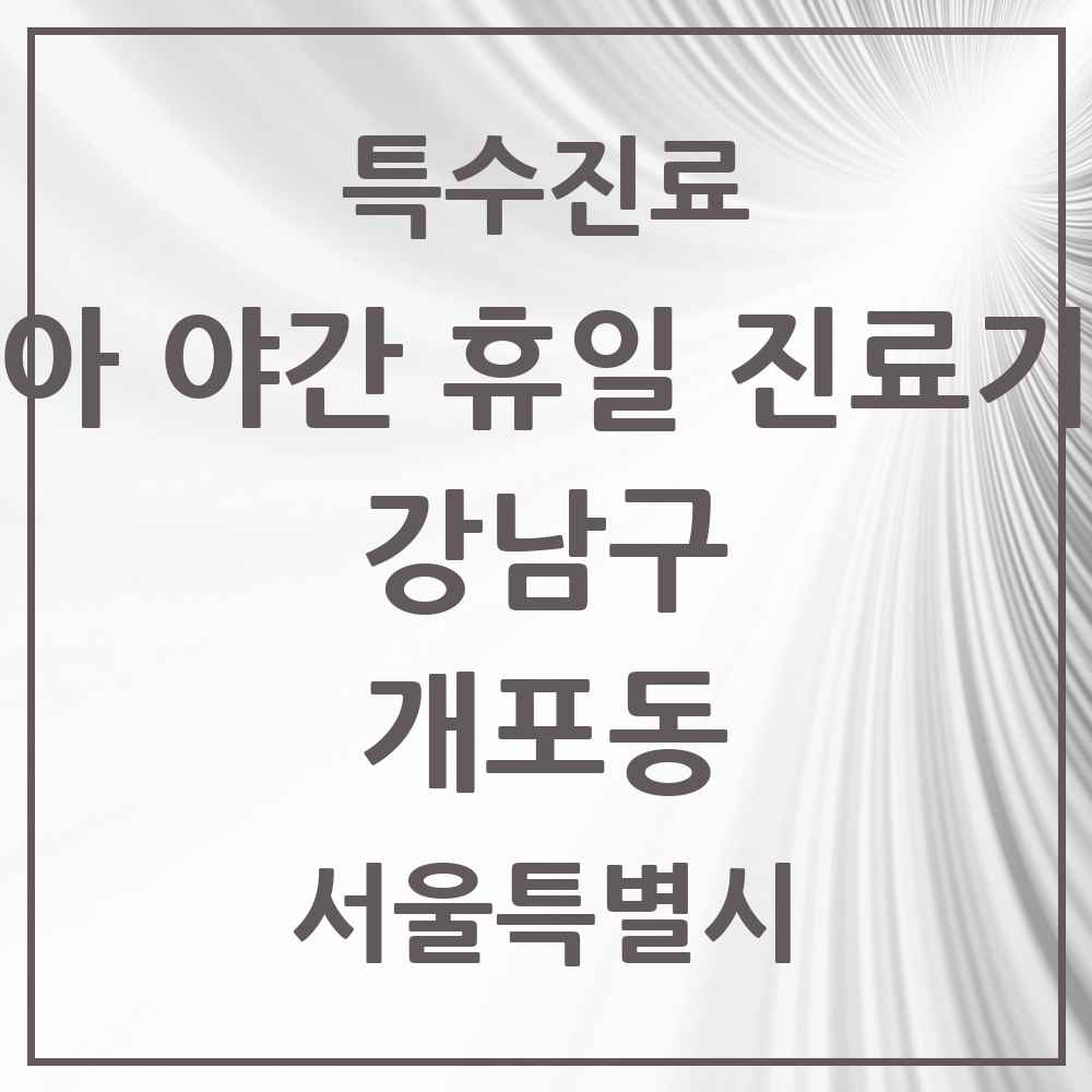 2025 서울특별시 강남구 개포동 소아 야간 휴일 진료기관 의원·병원 목록 2곳