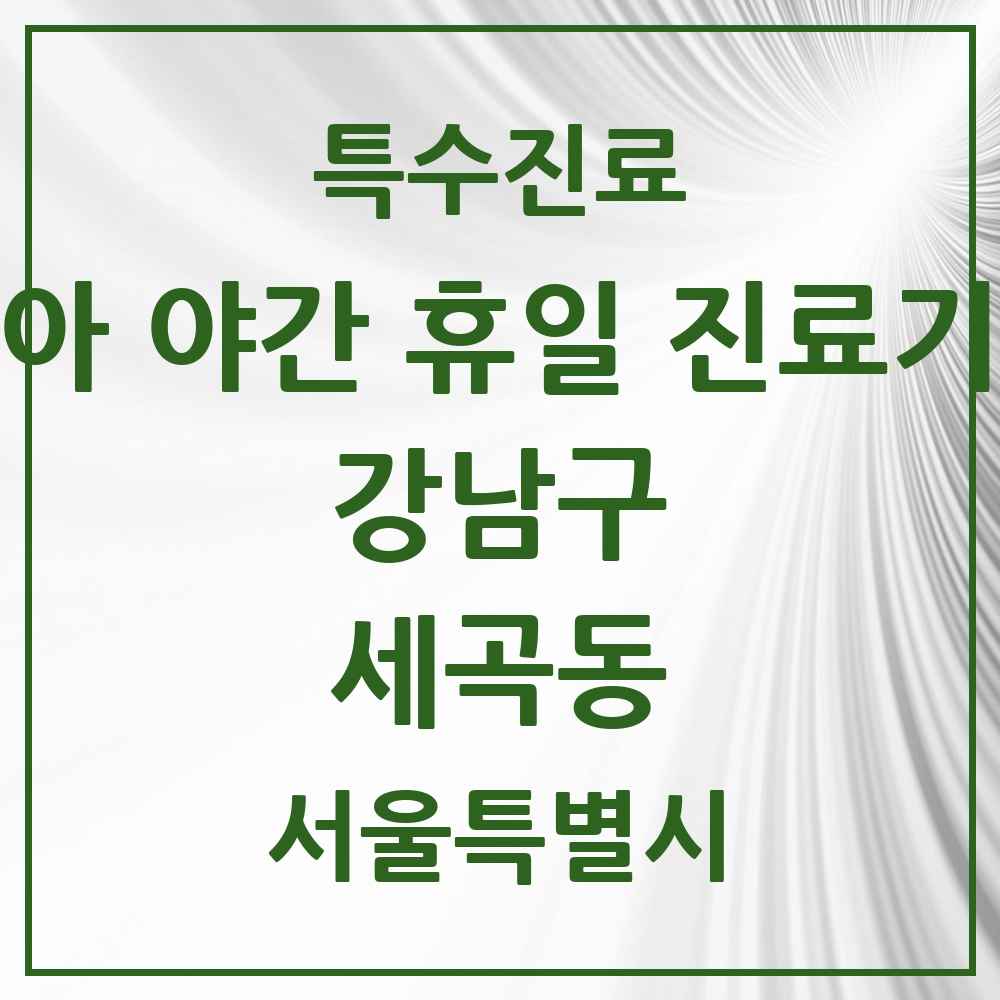 2025 서울특별시 강남구 세곡동 소아 야간 휴일 진료기관 의원·병원 목록 2곳