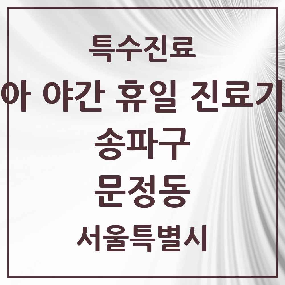 2025 서울특별시 송파구 문정동 소아 야간 휴일 진료기관 의원·병원 목록 2곳