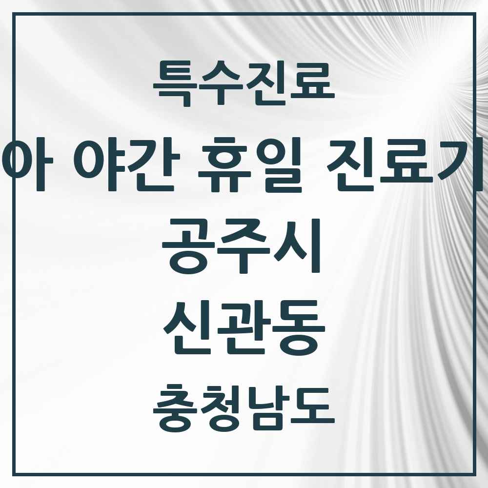 2025 충청남도 공주시 신관동 소아 야간 휴일 진료기관 의원·병원 목록 2곳