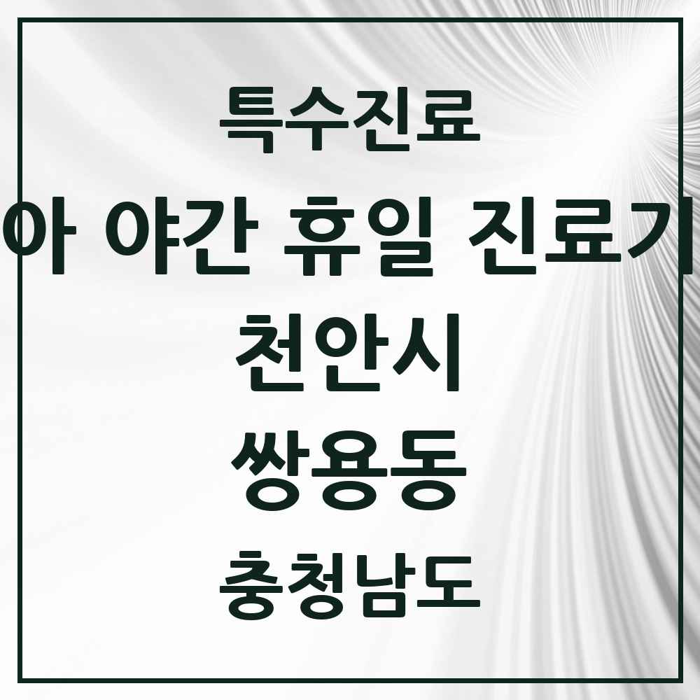 2025 충청남도 천안시 쌍용동 소아 야간 휴일 진료기관 의원·병원 목록 2곳