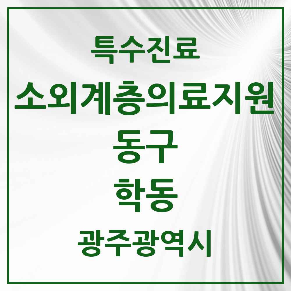 2025 광주광역시 동구 학동 소외계층 의료서비스지원 사업기관 의원·병원 목록 2곳