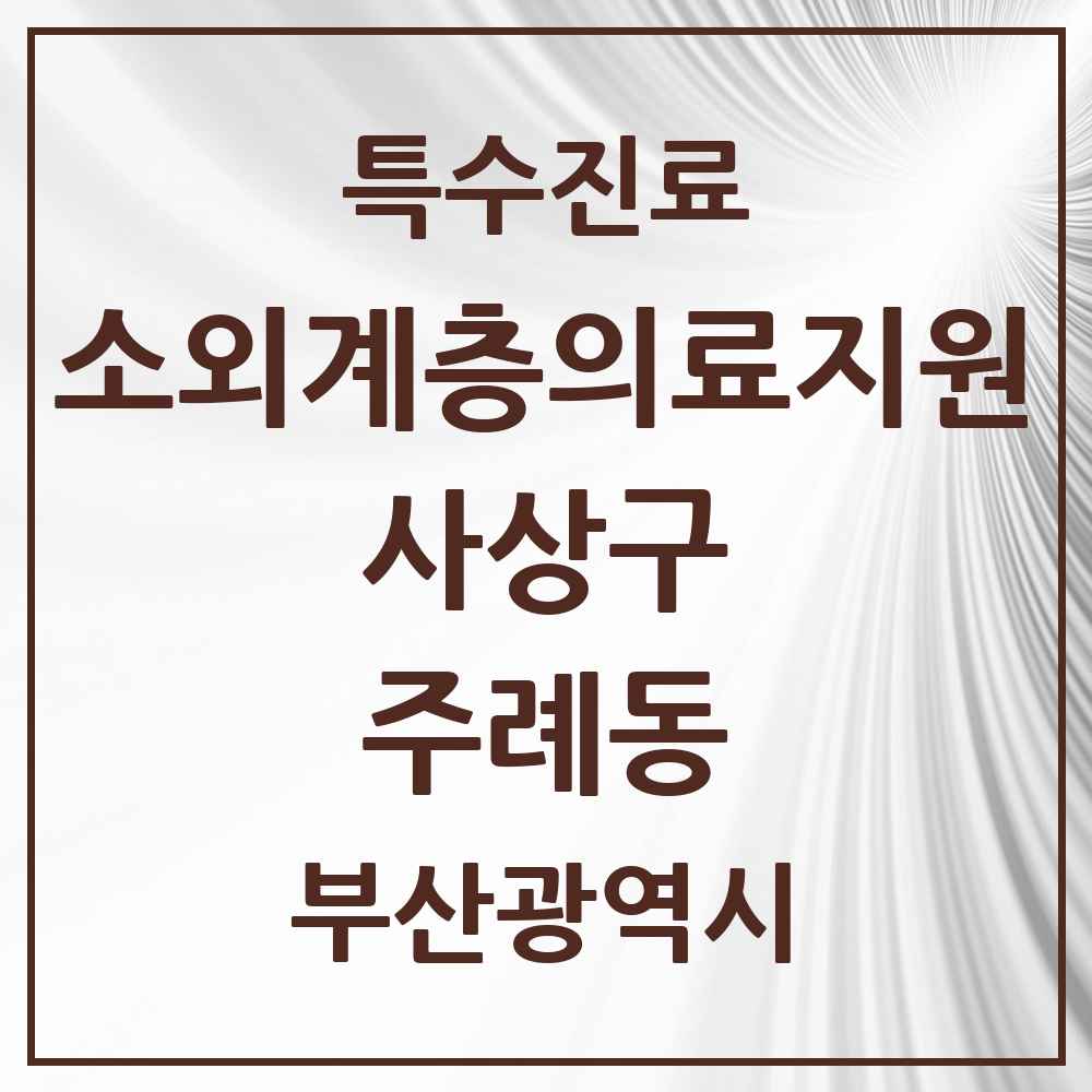 2025 부산광역시 사상구 주례동 소외계층 의료서비스지원 사업기관 의원·병원 목록 1곳