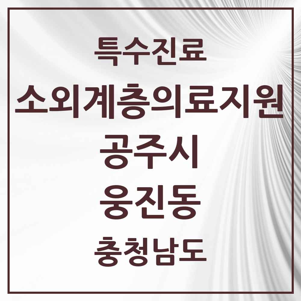 2025 충청남도 공주시 웅진동 소외계층 의료서비스지원 사업기관 의원·병원 목록 1곳