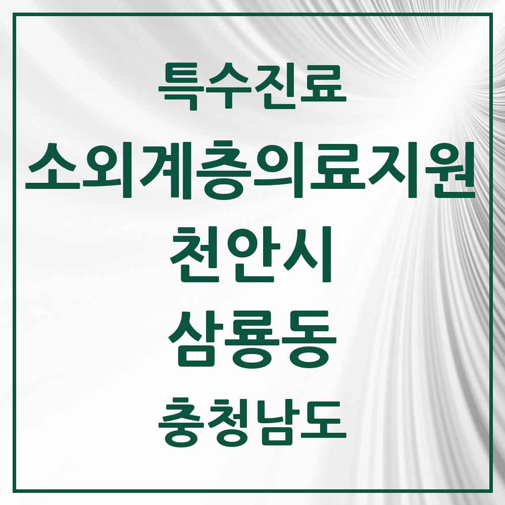 2025 충청남도 천안시 삼룡동 소외계층 의료서비스지원 사업기관 의원·병원 목록 1곳
