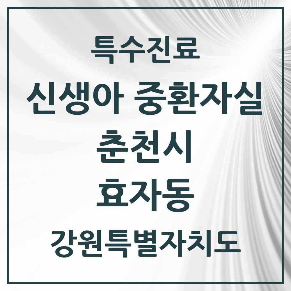 2025 강원특별자치도 춘천시 효자동 신생아 중환자실 의원·병원 목록 1곳