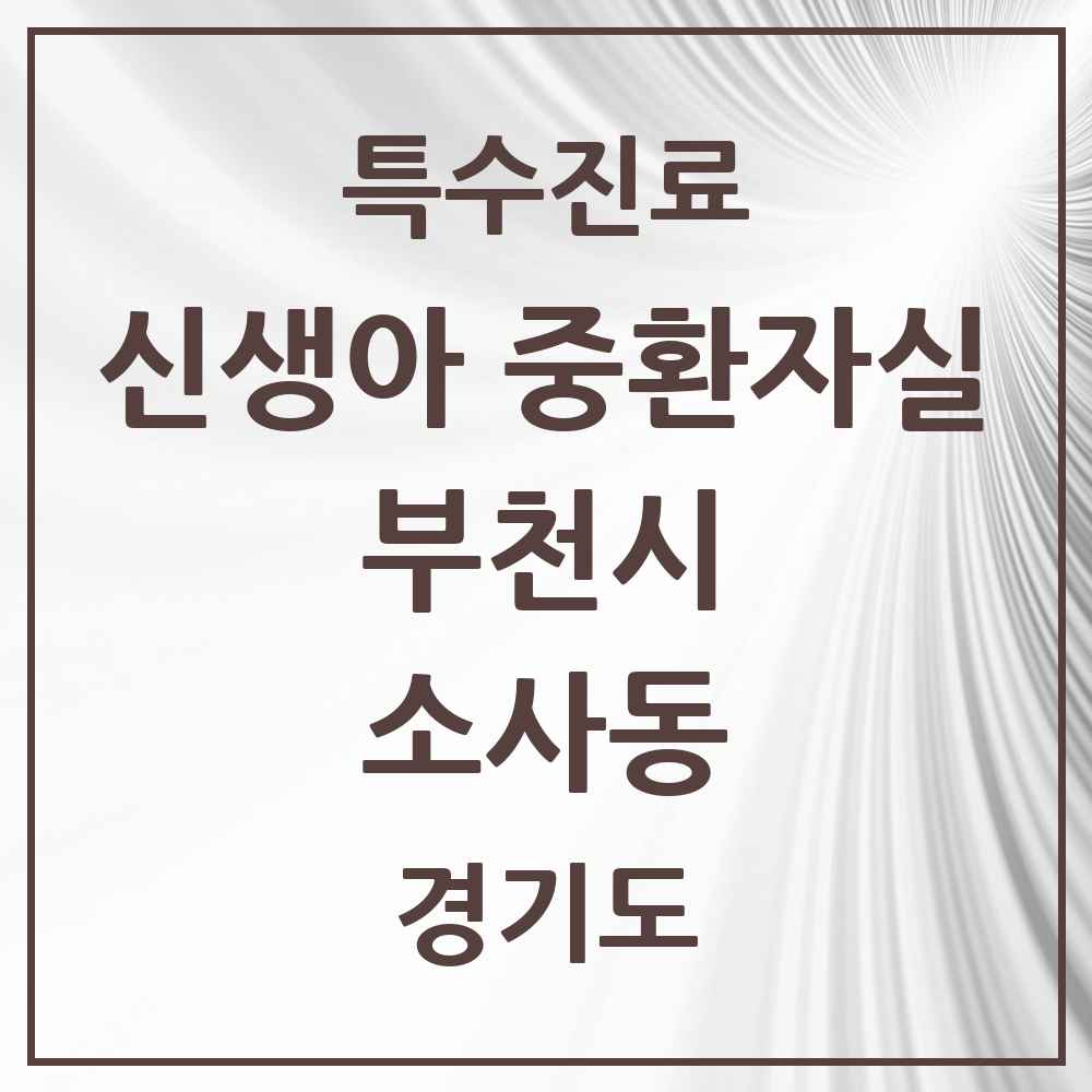2025 경기도 부천시 소사동 신생아 중환자실 의원·병원 목록 1곳