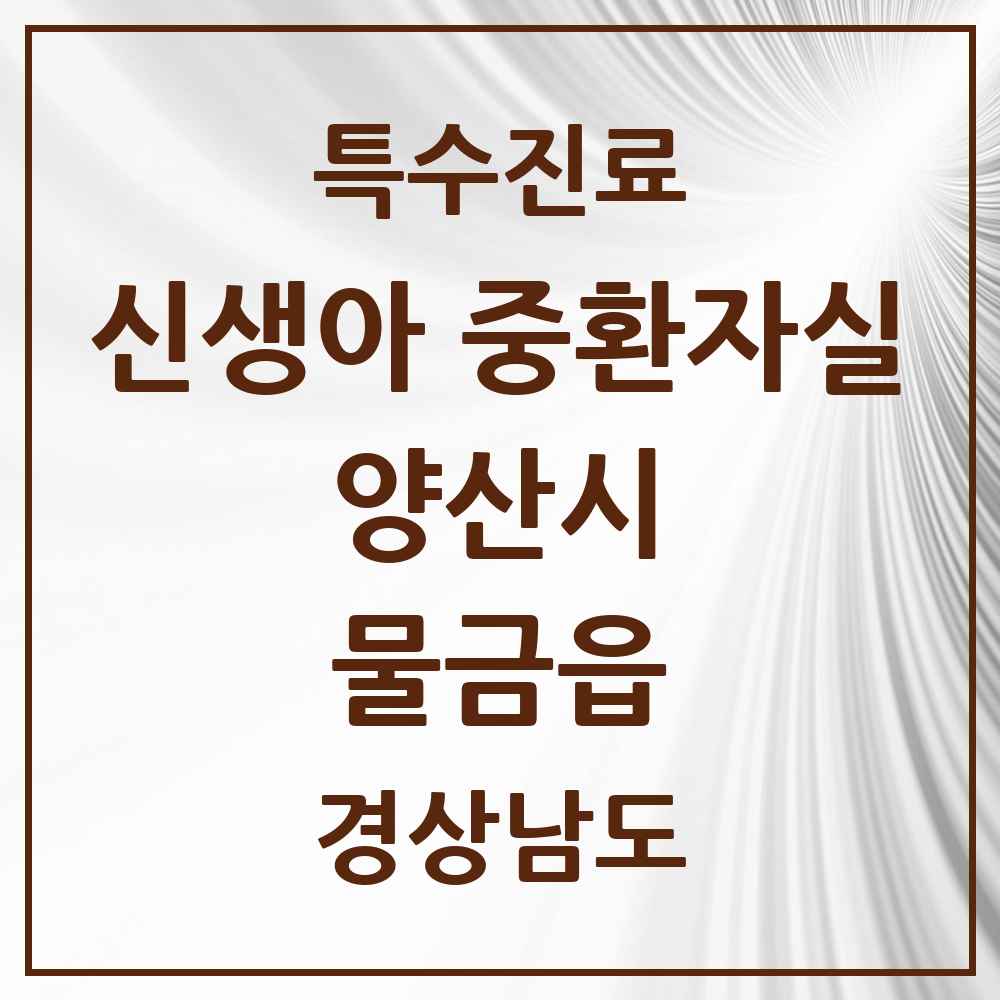 2025 경상남도 양산시 물금읍 신생아 중환자실 의원·병원 목록 1곳