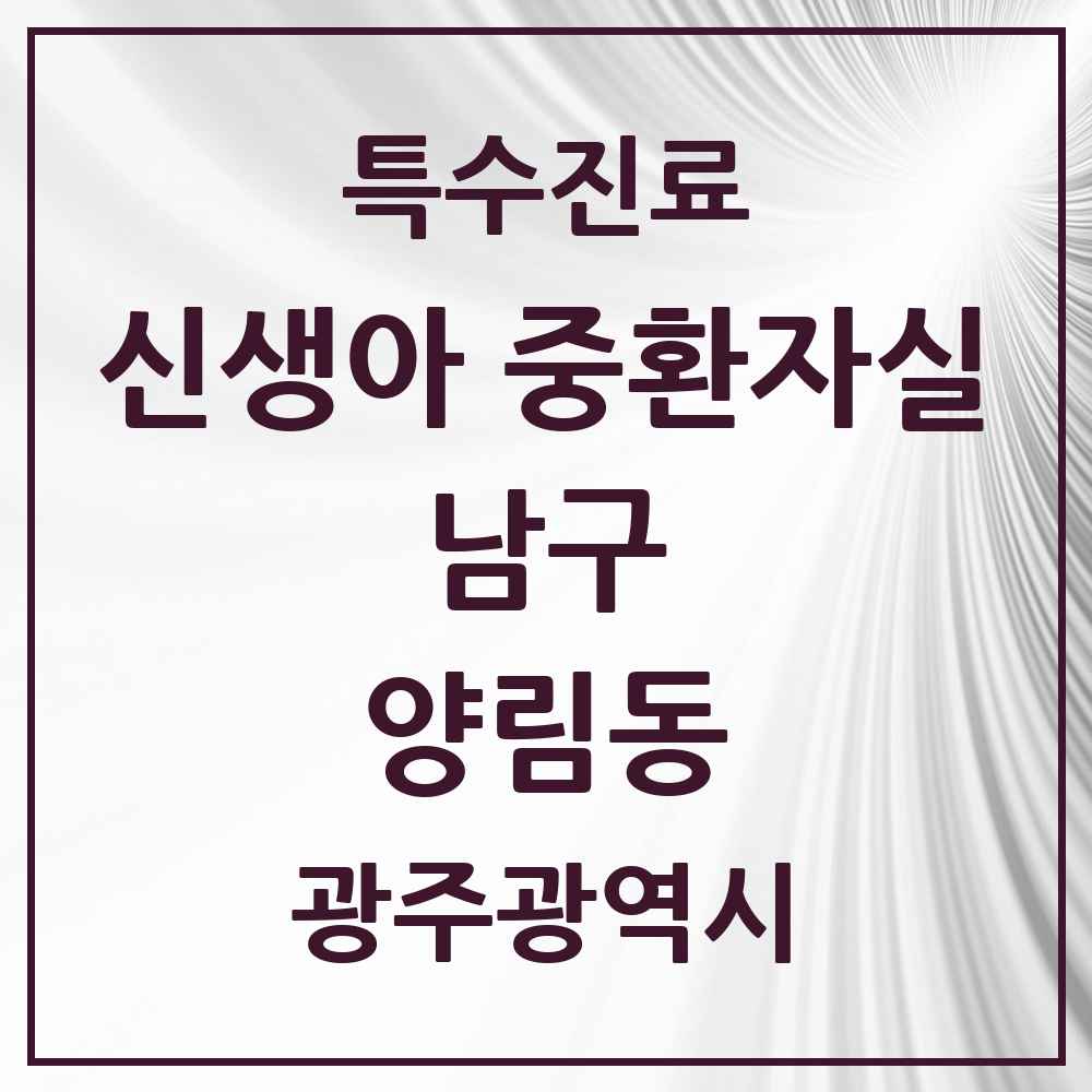 2025 광주광역시 남구 양림동 신생아 중환자실 의원·병원 목록 1곳
