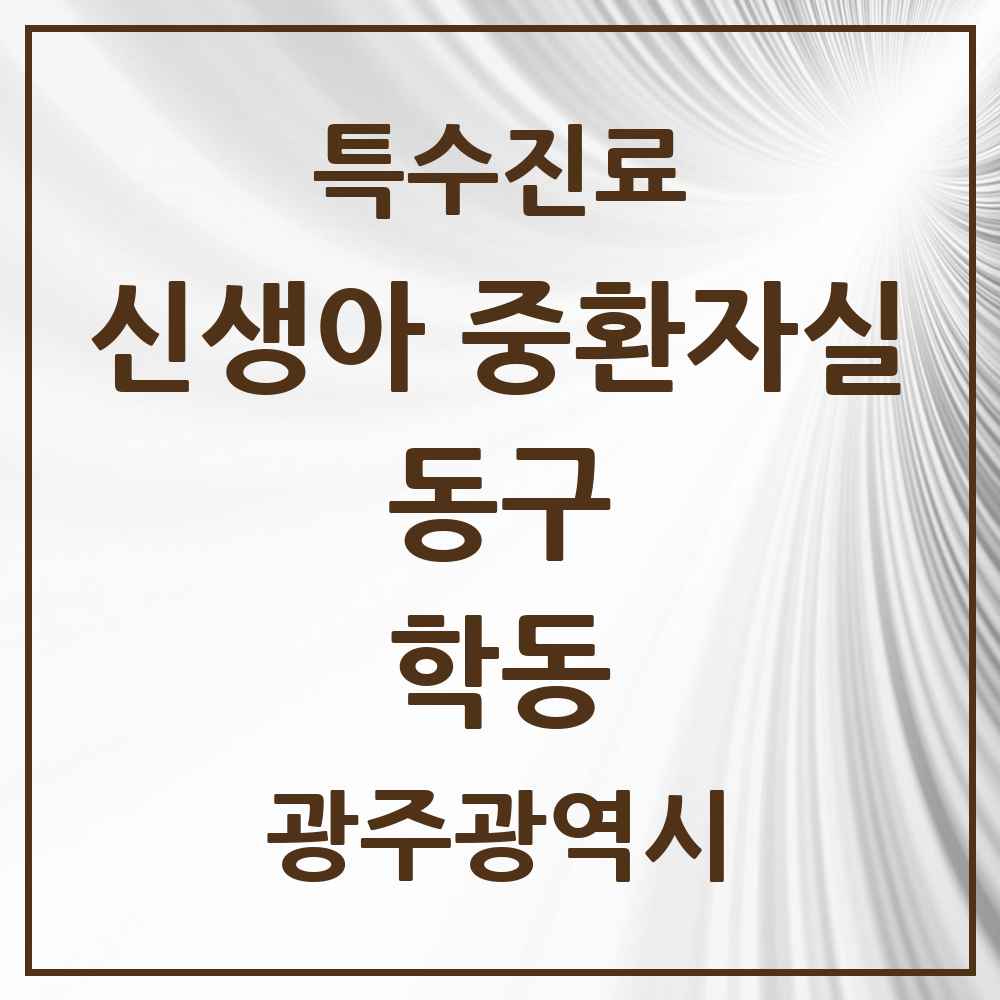2025 광주광역시 동구 학동 신생아 중환자실 의원·병원 목록 2곳