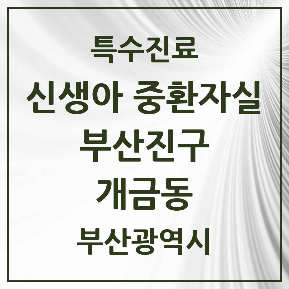 2025 부산광역시 부산진구 개금동 신생아 중환자실 의원·병원 목록 1곳