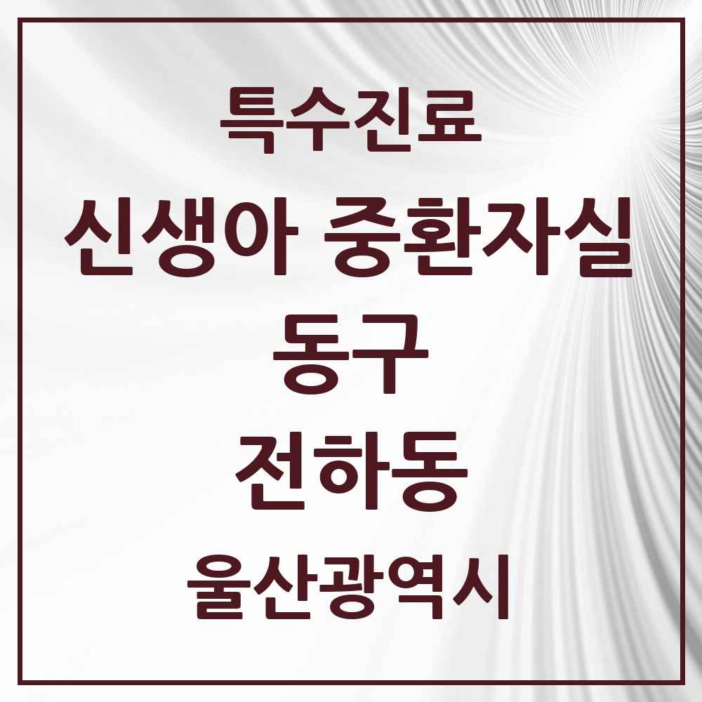 2025 울산광역시 동구 전하동 신생아 중환자실 의원·병원 목록 1곳