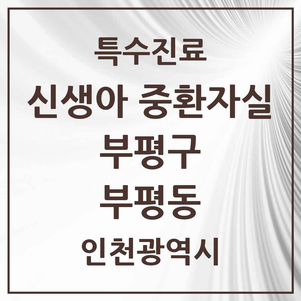 2025 인천광역시 부평구 부평동 신생아 중환자실 의원·병원 목록 1곳