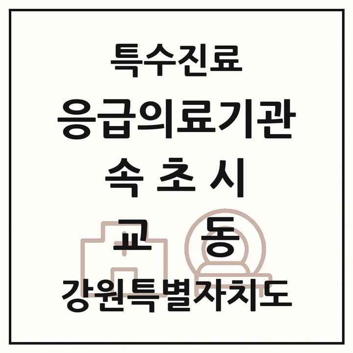 2026 강원특별자치도 속초시 교동 응급의료기관 의원·병원 목록 1곳